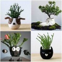 Creative flower pots
