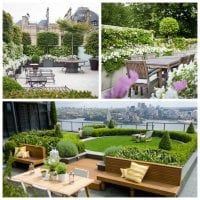 Garden on the roof: paradise for the urban dweller