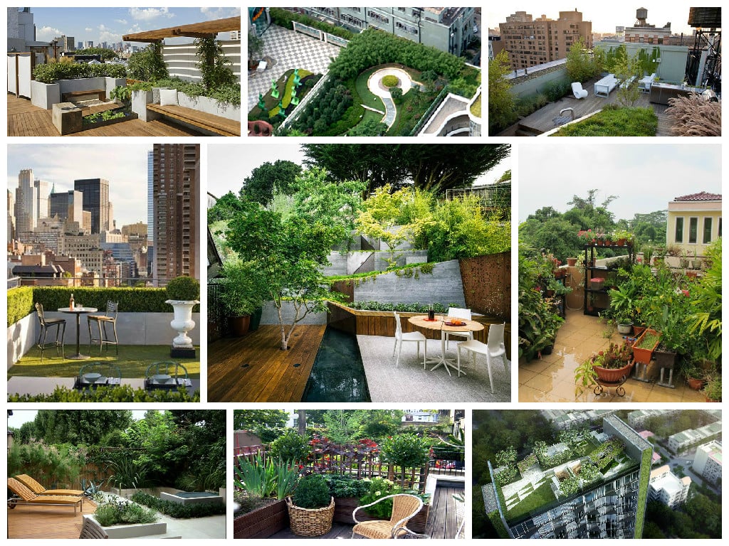 Ideas for roof gardens
