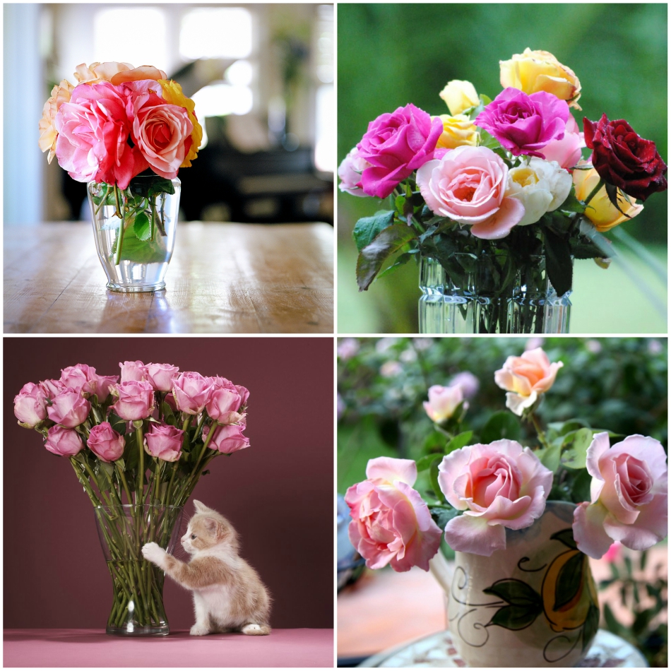 how_to_make_flowers_last_longer_in_vase