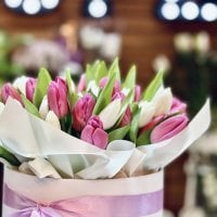 Tulip mania - why were tulips more expensive than gold?